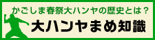 大ハンヤ豆知識